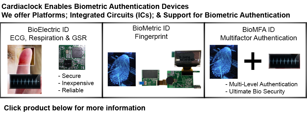 Biometric Authentication